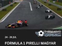 Formula 1 2015 Hungarian Grand Prix Hungaroring Race Round 10 (26-07-2015)