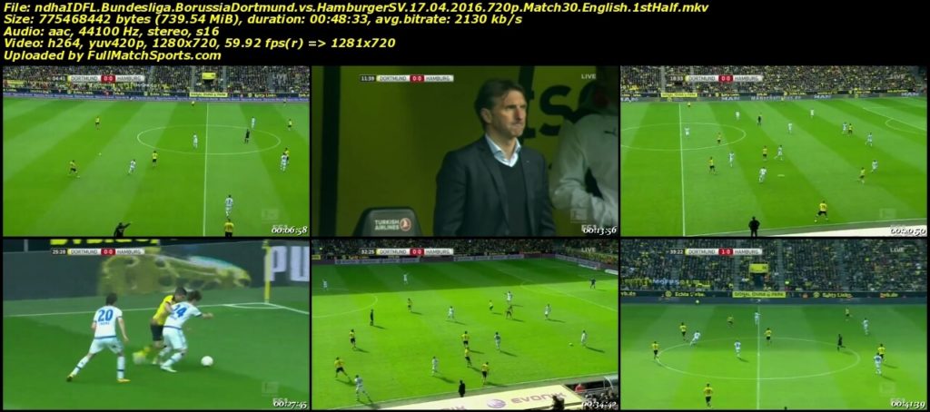 FULL MATCH Borussia Dortmund vs Hamburger SV Bundesliga Match 30 (17-04-2016)