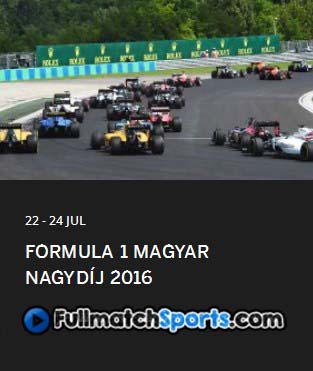 Formula 1 2016 Hungary Grand Prix Race Round 11 (24-07-2016)