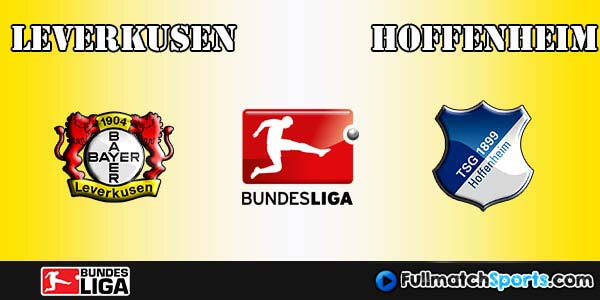 Full Match Leverkusen vs Hoffenheim Bundesliga 2016-17