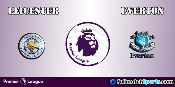 Full Match Leicester vs Everton Premier League 2016-17