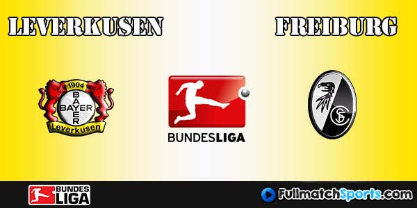 Full Match Leverkusen vs Freiburg Bundesliga 2016-17