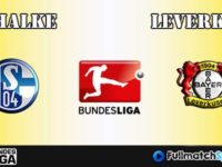 Full Match Schalke vs Leverkusen Bundesliga 2016-17