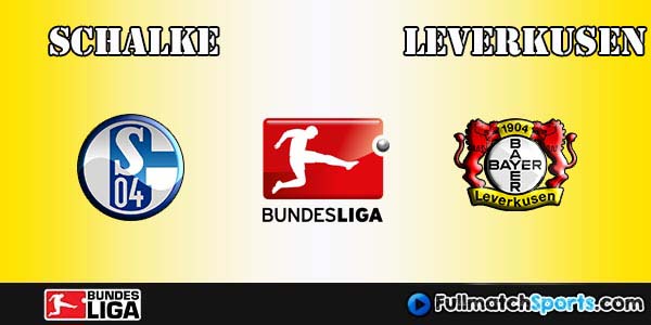 Full Match Schalke vs Leverkusen Bundesliga 2016-17