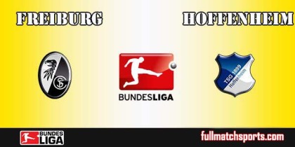 Full Match Highlights Freiburg vs Hoffenheim Bundesliga 2016-17