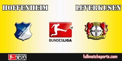 Full Match Highlights Hoffenheim vs Leverkusen Bundesliga 2016-17