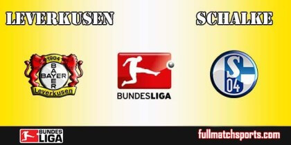 Full Match Highlights Leverkusen vs Schalke Bundesliga 2016-17