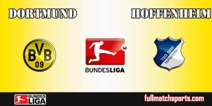 Full Match Highlights Dortmund vs Hoffenheim Bundesliga 2016-17