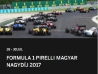 Formula 1 Hungary Grand Prix Race 2017 Round 11