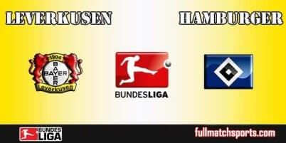 Bayer Leverkusen vs Hamburger Full Match Bundesliga 2017-18