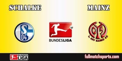 Schalke vs Mainz Full Match Bundesliga 2017