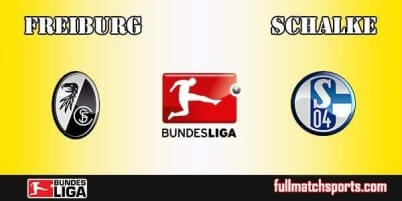 Freiburg vs Schalke Full Match Bundesliga 2017