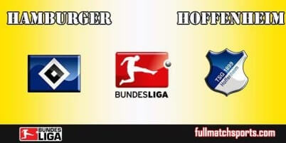 Hamburger vs Hoffenheim Full Match Bundesliga 2017