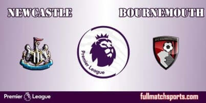 Newcastle United vs Bournemouth Full Match EPL 2017