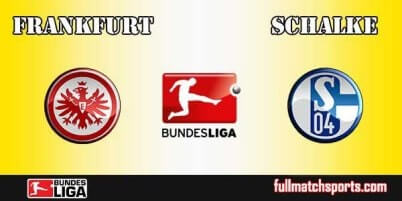 Eintracht Frankfurt vs Schalke Full Match Bundesliga 2017