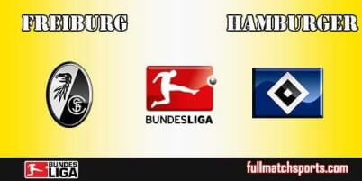 Freiburg vs Hamburger Full Match Bundesliga 2017