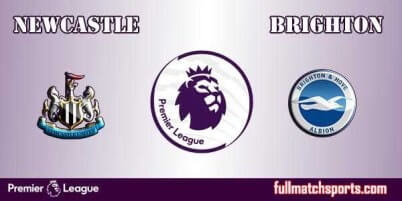 Newcastle United vs Brighton Full Match EPL 2017
