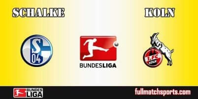 Schalke vs Koln Full Match Bundesliga 2017