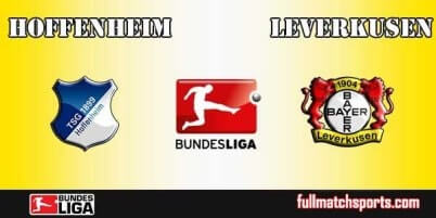 Hoffenheim vs Bayer Leverkusen Full Match Bundesliga 2018
