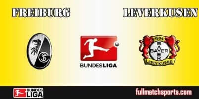Freiburg vs Bayer Leverkusen Full Match Bundesliga 2018