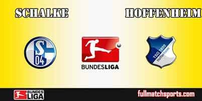 Schalke 04 vs Hoffenheim Full Match Bundesliga 2018