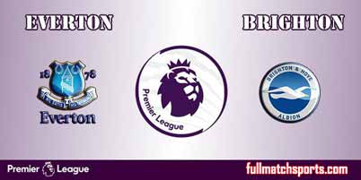 Everton vs Brighton Full Match EPL 2018