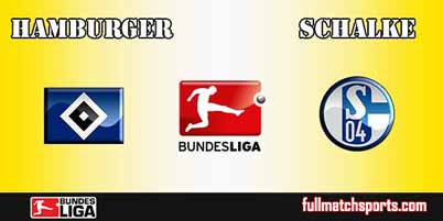 Hamburger vs Schalke 04 Full Match Bundesliga 2018