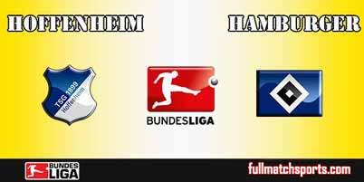 Hoffenheim vs Hamburger Full Match Bundesliga 2018