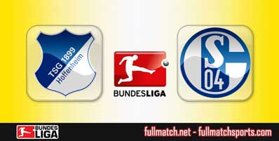 Hoffenheim vs Schalke 04 Highlights Full Match