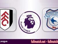 Fulham vs Cardiff City Highlights Full Match