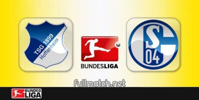 Hoffenheim vs Schalke 04 Full Match Highlights