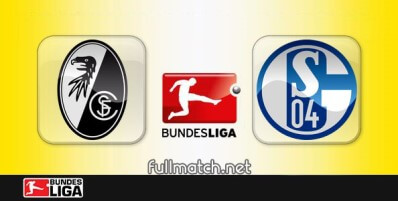 Freiburg vs Schalke 04 Full Match Highlights
