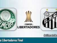 Palmeiras vs Santos Full Match Highlights Copa Libertadores Final 2020
