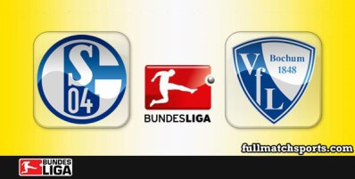 Schalke 04 vs Bochum Full Match Highlights