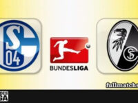 Schalke 04 vs Freiburg Full Match Highlights