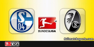 Schalke 04 vs Freiburg Full Match Highlights