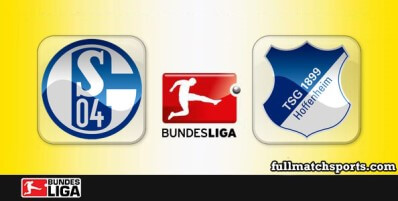 Schalke 04 vs Hoffenheim Full Match Highlights