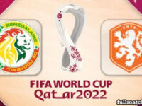 Senegal vs Netherlands Full Match Highlights WorldCup 2022