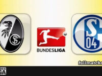 Freiburg vs Schalke 04 Full Match Highlights
