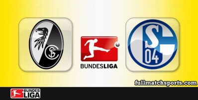 Freiburg vs Schalke 04 Full Match Highlights