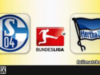 Schalke 04 vs Hertha BSC Full Match Highlights