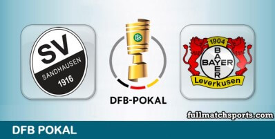 Sandhausen vs Bayer Leverkusen Full Match Highlights DFB Pokal