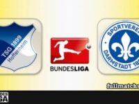 Hoffenheim vs Darmstadt Full Match Highlights