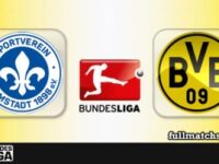 Darmstadt vs Borussia Dortmund Full Match Highlights