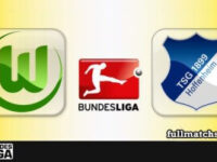 Wolfsburg vs Hoffenheim Full Match Highlights