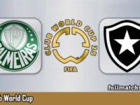 Palmeiras vs Botafogo Full Match Highlights Club World Cup 2025