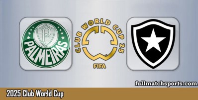 Palmeiras vs Botafogo Full Match Highlights Club World Cup 2025