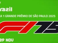F1 2025 Brazil GP Race Replay Round 21