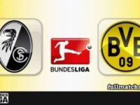 Freiburg vs Borussia Dortmund Full Match Highlights